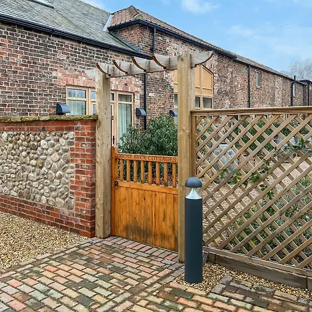 Goosebeck - Phoenix *