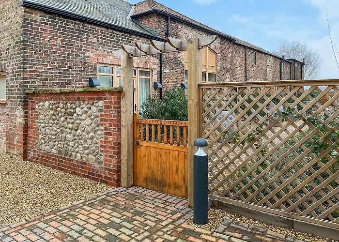 Goosebeck - Phoenix *